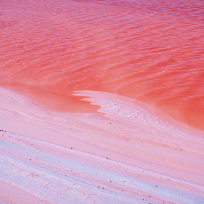Las Coloradas & Rio Lagartos
