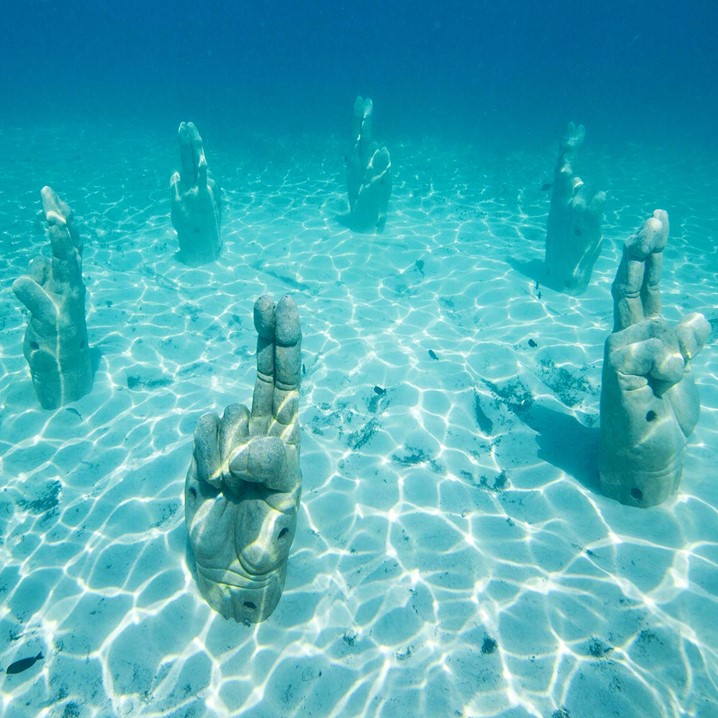 Tour Snorkel Básico