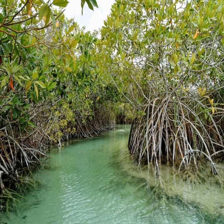 Sian Ka'an